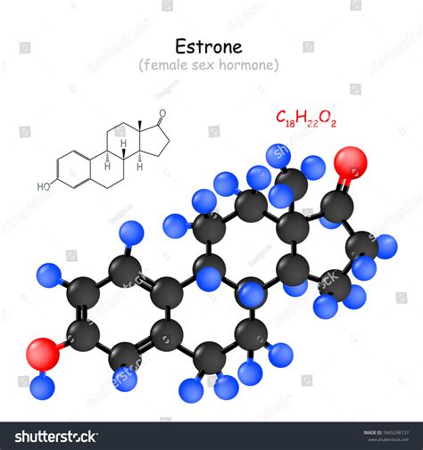 Estrone Female Sex Hormone Chemical Structural Stock Vector Royalty