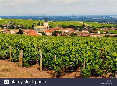 Cote Fleurie High Resolution Stock Photography And Images Alamy