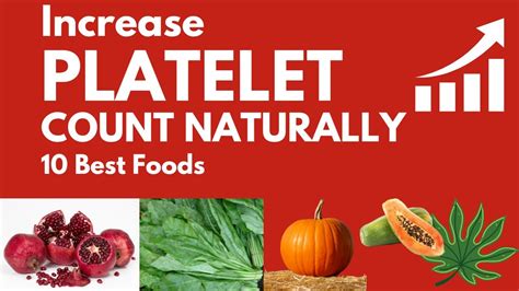 Best Foods To Increase Blood Platelets Naturally How To Increase