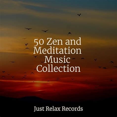 Amazon MusicでSonidos de la Naturaleza Relajacion Relaxation Música