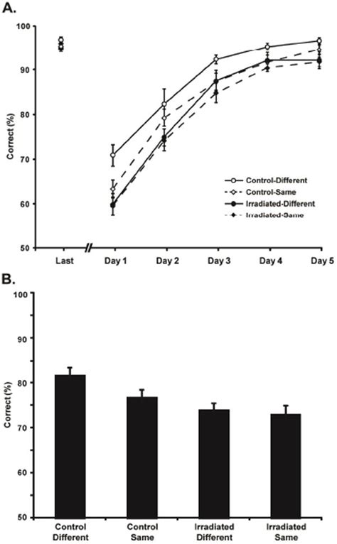 The role of adult hippocampal neurogenesis in reducing interference ...