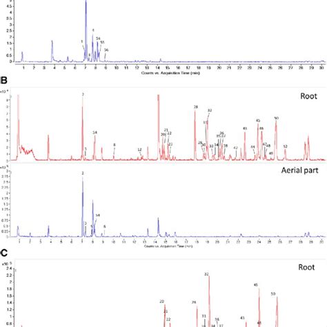 The Representative Total Ions Current Tic Chromatograms Of The Root