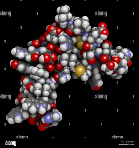 Factor De Crecimiento Epidermal Egf Mol Cula De Prote Na De