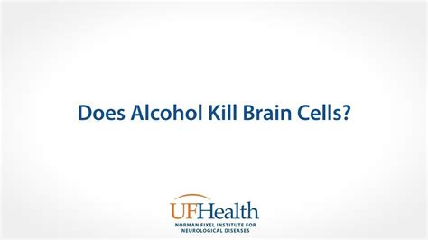 Brain Awareness Week Does Alcohol Kill Brain Cells Youtube