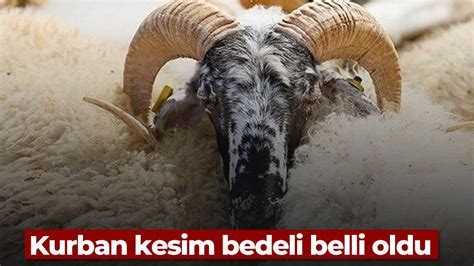 2024 kurban kesim bedeli ne kadar oldu Aydın Ses Gazetesi En