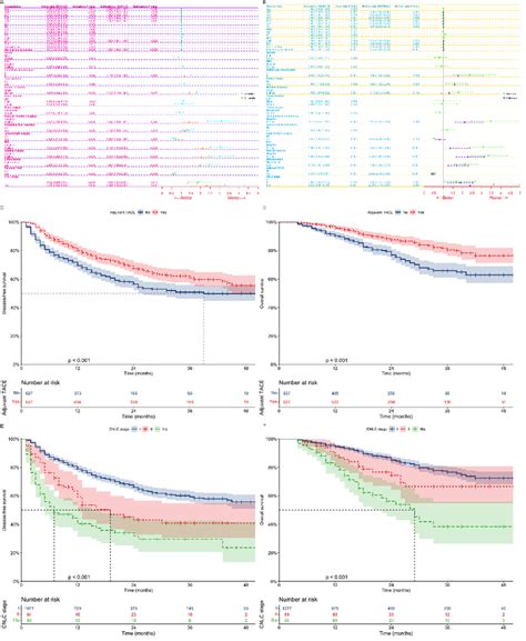 Univariate And Multifactorial Analysis Of Cox Regression Models For Dfs