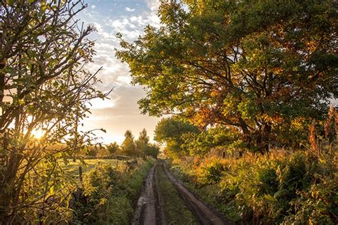 aire valley autumn track    yorkshire dales