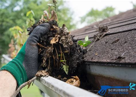 The Dangers Of Diy Gutter Cleaning And Why To Hire Pros