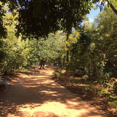 Fotos Em Parque Ecol Gico Prof Herm Genes De Freitas Leit O Filho