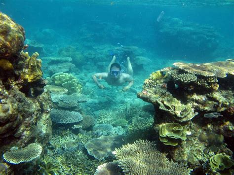 Karimunjawa Islands Now Have 24 Hour Electricity News The Jakarta Post