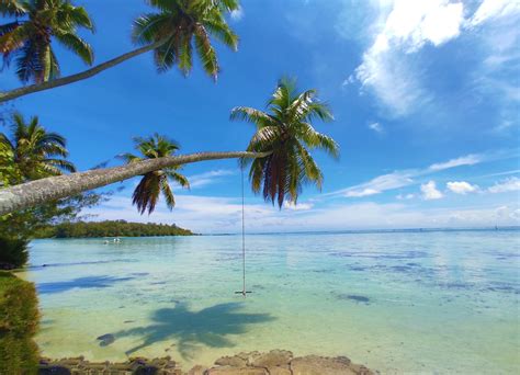 Lagon De Moorea Mer Arbres Moorea Archipel De La Soci T