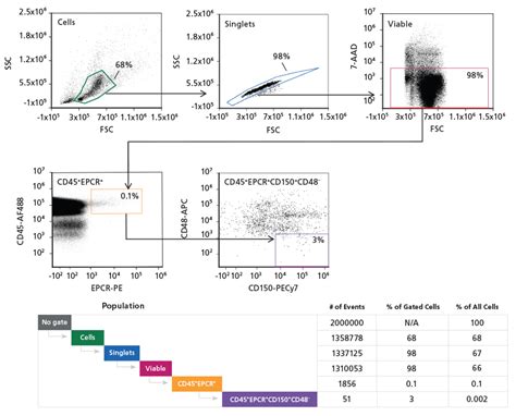 Flow Cytometry Of Mouse Hematopoietic Stem Cells Beyond Lsk