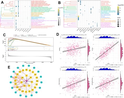 Identification And Validation Of An H2az1 Based Index Model A Novel