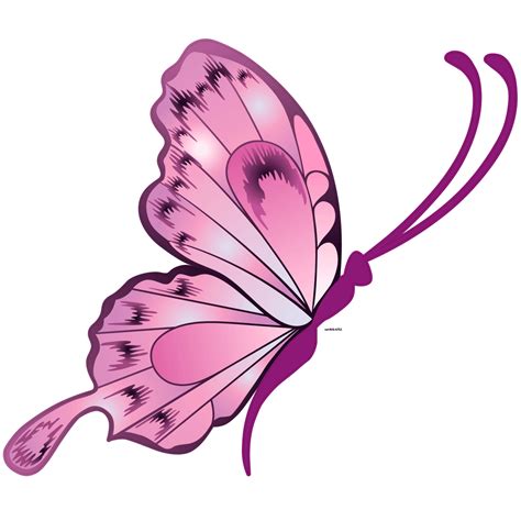 Sticker Papillon Magnifique Stickers STICKERS ANIMAUX Papillons