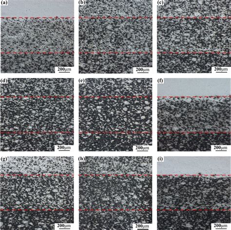 Optical Micrographs Showing SiC Reinforcement Distribution In