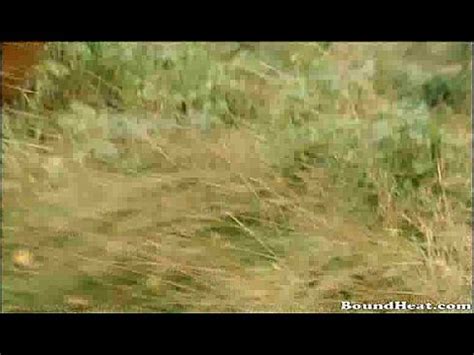 Blonde Slave Caught In Stealing And Punished XVIDEOS