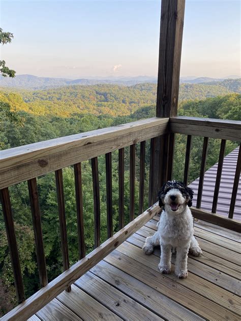Blue Ridge Cabin Rentals Secrets and Tricks Revealed - Amber Likes