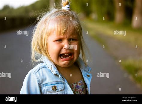 Une Petite Petite Jolie Petite Fille Blonde De Ans Pleure Dans Un Parc D T Enfant