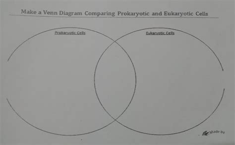 Answered Make A Venn Diagram Comparing… Bartleby