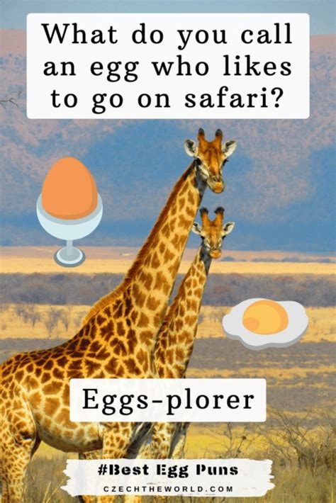 375 Best Egg Puns And Jokes That Are Simply Egg Ceptional