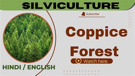 Coppice Forest Definition Importance Youtube