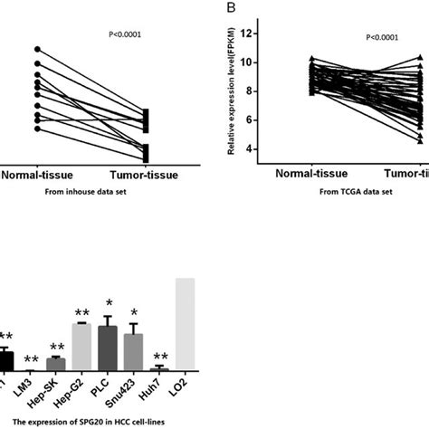 A Mrna Expression Level Of The Spg20 Gene In 11 Hcc Paired Samples