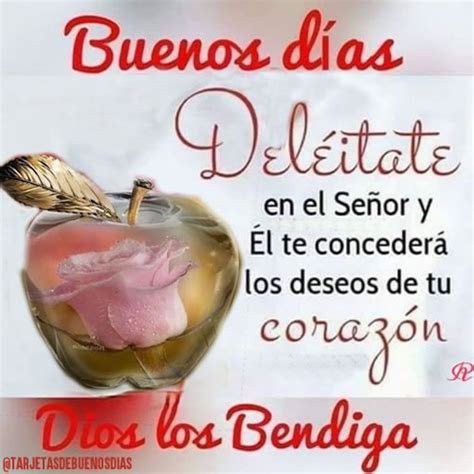 Tarjetas De Buenos Días Que Dios Te Bendiga Y Te Guarde Siempre God Is Good Good Things