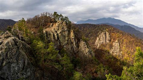 Cozia National Park | Discover Vâlcea