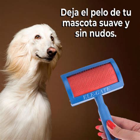 Cepillo Cardina Para Perro Y Gato Con Puntas Protegidas Cuida El