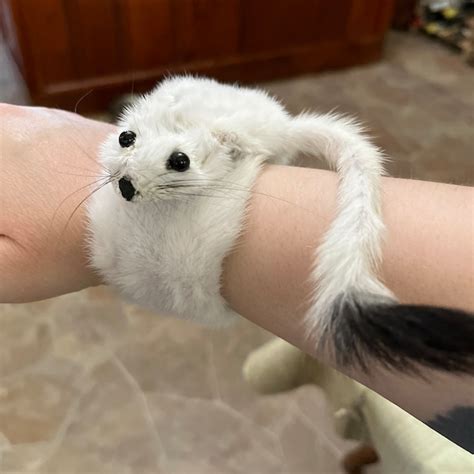 Weasel Slap Bracelet Sherman The Ermine White Ermine Slap Bracelet