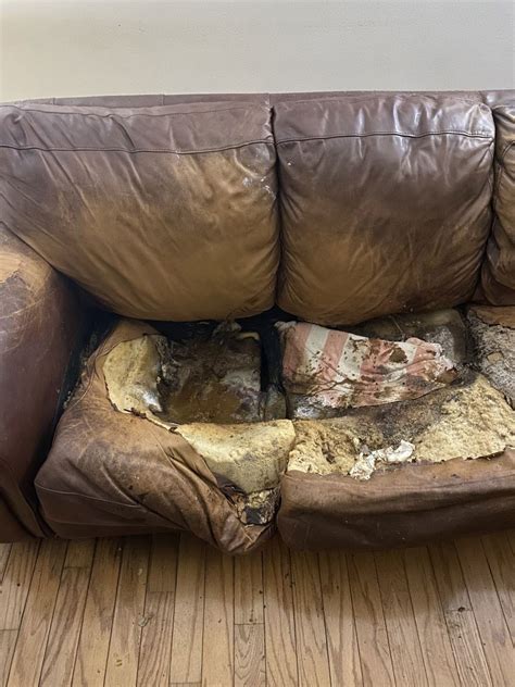 Horror pics show feces-covered couch that FUSED to body of recluse, 36 ...