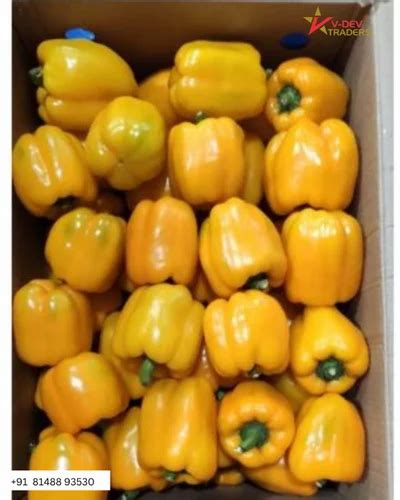 A Grade Fresh Yellow Capsicum For Cooking Packaging Size Kg At Rs