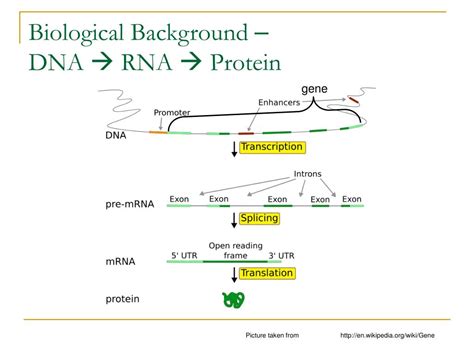 PPT Inferring Prototypical Transcriptional Regulatory Network From