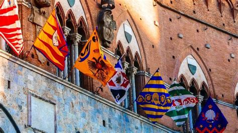 Palio Di Siena Agosto 2023 Cavalli Assegnati Alle Contrade Gazzetta It