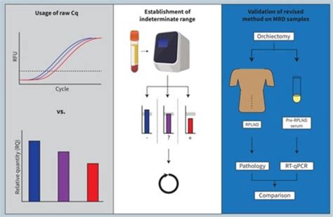 Asco Gu Optimization Of Serum Mir A P For The Detection Of