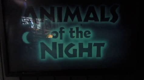 Animals Of The Night Bats And More Milwaukee County Zoo 3 4 17 Youtube