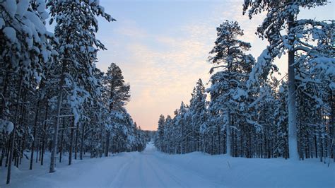 Snowy landscape in Finland image - Free stock photo - Public Domain ...