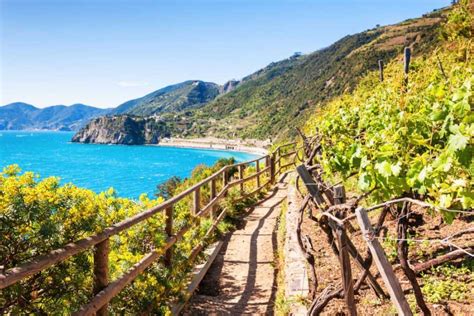 Punta Pineda Cinque Terre Book Tickets Tours GetYourGuide