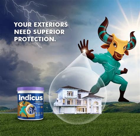 Indicus Paints Interior And Exterior Wall Paints And Primers