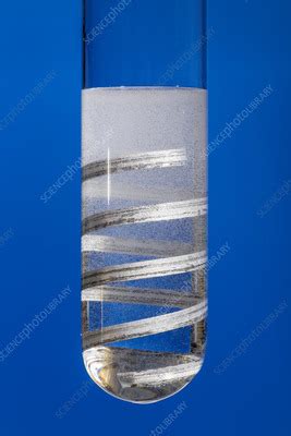 Propanoic Acid Reacting With Magnesium Ribbon Stock Image C059 7062