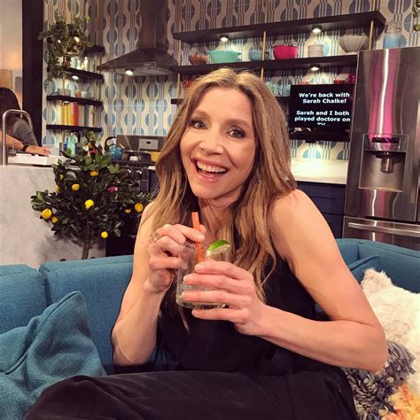 Sarah Chalke (Actress) Wiki, Biography, Age, Boyfriend, Family, Facts ...