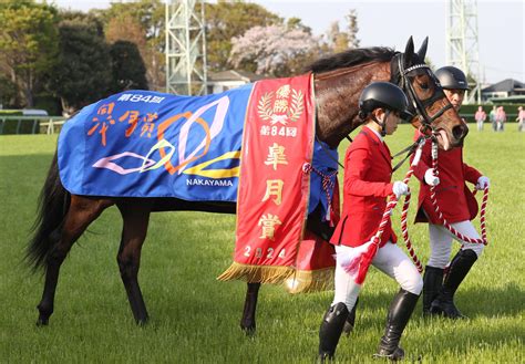 【ダービー】皐月賞馬ジャスティンミラノ進化、大江助手「過去3頭のダービー馬より変化大きい」 3歳馬特集 競馬写真ニュース 日刊スポーツ