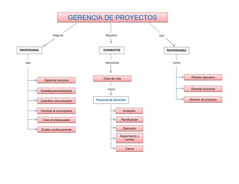 Mapa Conceptual Gerencia De Proyectos Ppt