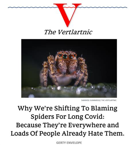 Thevertlartnic On Twitter Why Were Shifting To Blaming Spiders For