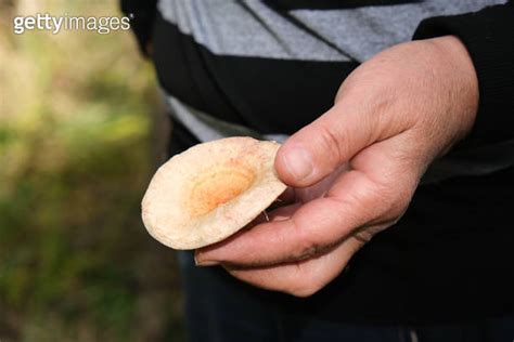 Senior Woman Holding Saffron Milk Cap Lactarius Deliciosus Mushroom