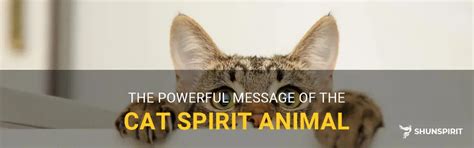 The Powerful Message Of The Cat Spirit Animal | ShunSpirit