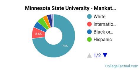 Minnesota State University Mankato Diversity Racial Demographics