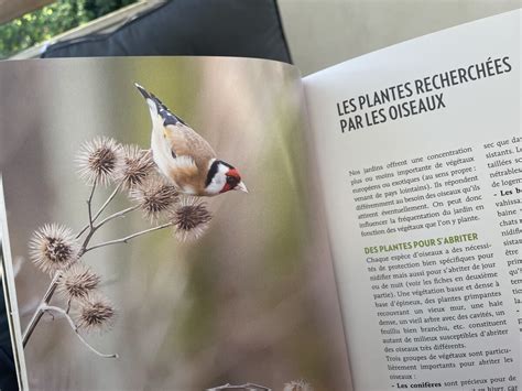 Livre Accueillir Les Oiseaux Au Jardin Les Jardins De Malorie