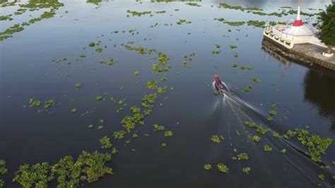 View of the Amazon River in a Boat Ride Free Stock Video Footage ...