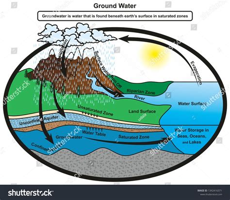 Groundwater Infographic Diagram Showing Cycle Of Water And How It Gets